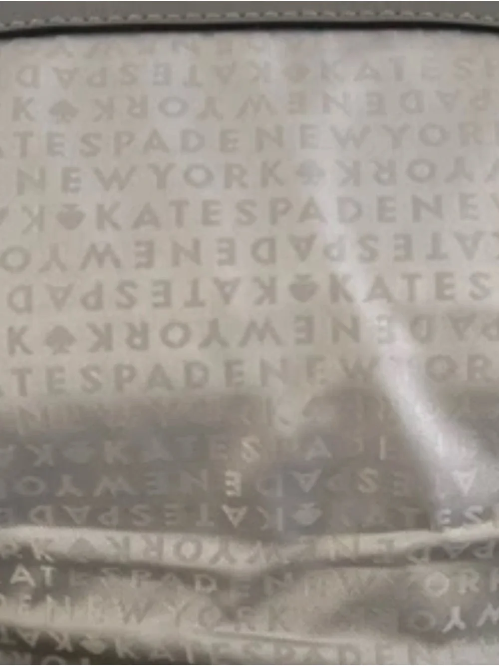 Kate Spade New York Gray Suede Leather Crossbody Saddle Bag Tassel Hardware Gold